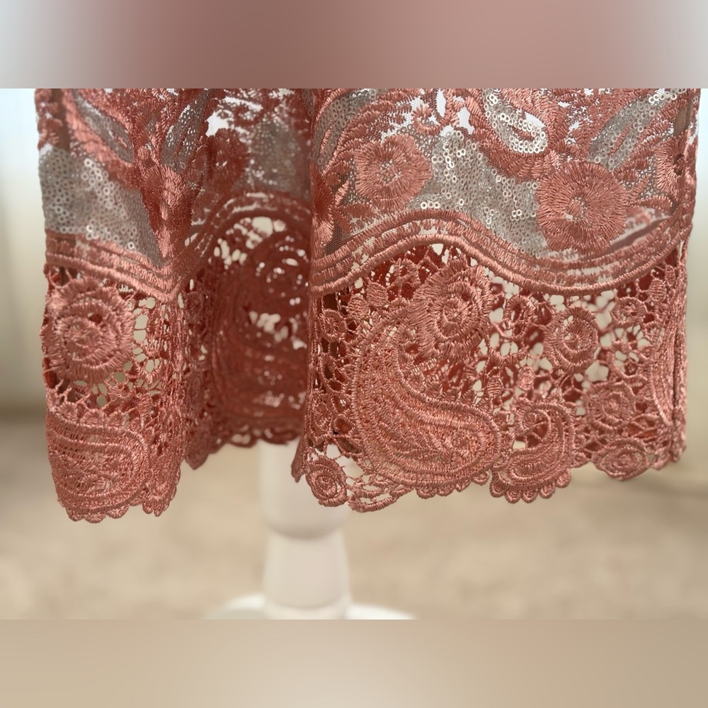 Dress the Population Angela Sequin & Lace Dress XS Homecoming Formal Holiday - Picture 9 of 15